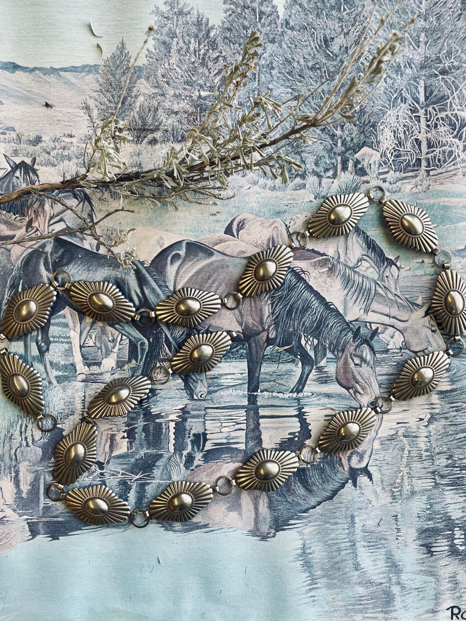 Shantel Concho Belt